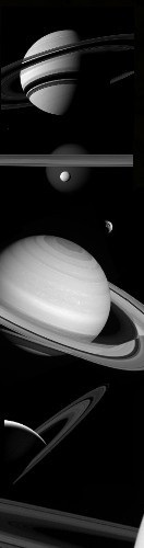 Design 503462 Skateboards, Longboards and Grip Tape Image