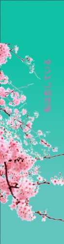 Design 504520