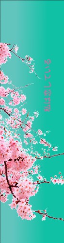 Design 505118