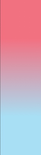 Design 506069 Skateboards, Longboards and Grip Tape Image