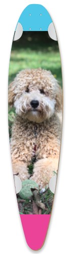 Design 506908 Skateboards, Longboards and Grip Tape