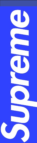 Design 508181
