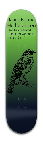 Design 508532 Skateboards, Longboards and Grip Tape Image