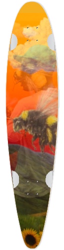 Design 508553 Skateboards, Longboards and Grip Tape