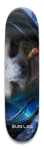 Design 508717 Skateboards, Longboards and Grip Tape