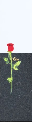 Design 509468 Skateboards, Longboards and Grip Tape Image