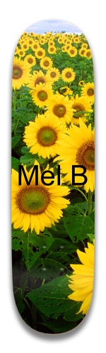 Design 509636