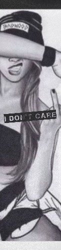 I don&amp;#039;t care! Skateboards, Longboards and Grip Tape Image