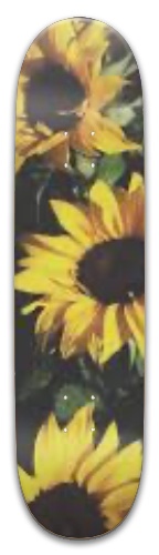 Design 511956 Skateboards, Longboards and Grip Tape Image