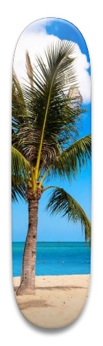 Design 513020