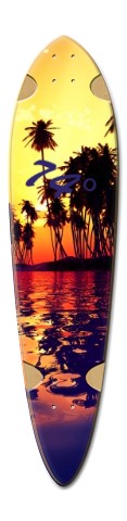 ryan longboard 14.1