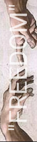 Design 514419 Skateboards, Longboards and Grip Tape
