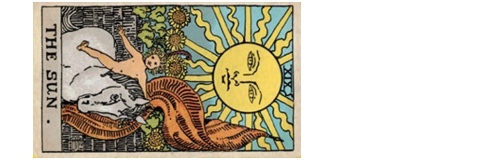 Design 514531 Skateboards, Longboards and Grip Tape Image