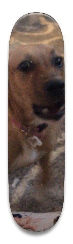 Design 516046 Skateboards, Longboards and Grip Tape