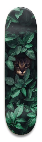 Design 516416 Skateboards, Longboards and Grip Tape Image