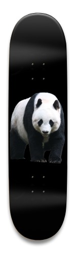 Design 516653 Skateboards, Longboards and Grip Tape Image