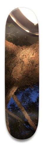 Design 517397 Skateboards, Longboards and Grip Tape