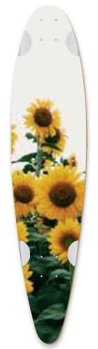 Design 517630 Skateboards, Longboards and Grip Tape