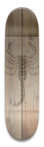 Design 517794 Skateboards, Longboards and Grip Tape Image