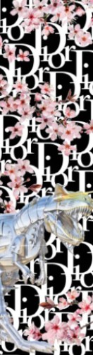 Design 518165 Skateboards, Longboards and Grip Tape Image