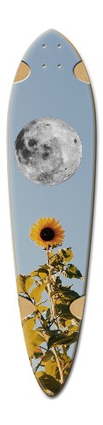 Design 518579 Skateboards, Longboards and Grip Tape