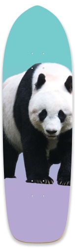 Design 518914 Skateboards, Longboards and Grip Tape Image