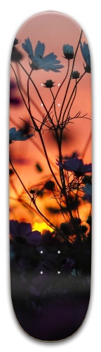 Design 519355 Skateboards, Longboards and Grip Tape