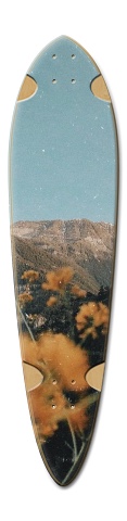 Design 519467 Skateboards, Longboards and Grip Tape
