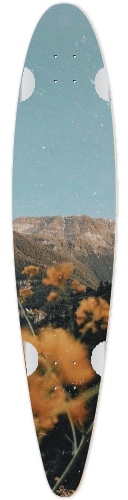 Design 519468