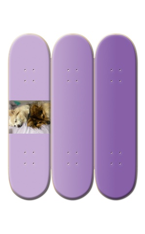 Design 519901 Skateboards, Longboards and Grip Tape Image