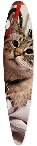 Design 520005 Skateboards, Longboards and Grip Tape