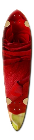 Design 520119