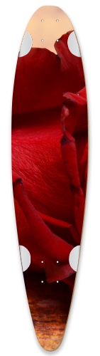 Design 520120 Skateboards, Longboards and Grip Tape