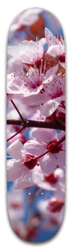 Design 520354