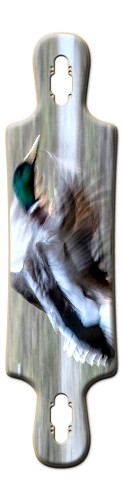 Design 521077