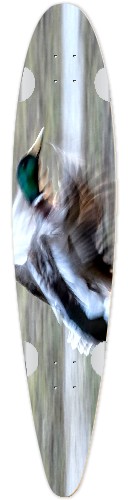 Design 521078 Skateboards, Longboards and Grip Tape