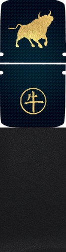 GoldenOx Board OneWheel