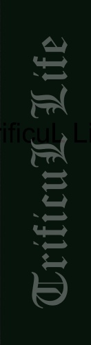 Design 521762 Skateboards, Longboards and Grip Tape Image