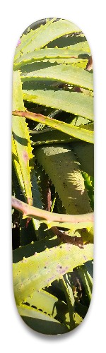 Design 521960