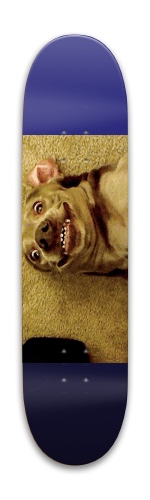 Design 522191 Skateboards, Longboards and Grip Tape Image