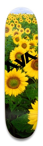 Design 522375 Skateboards, Longboards and Grip Tape