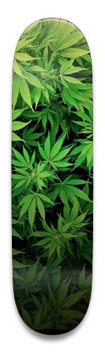 Design 524787 Skateboards, Longboards and Grip Tape