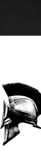 Design 526018 Skateboards, Longboards and Grip Tape Image