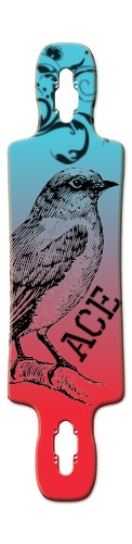 Design 526179 Skateboards, Longboards and Grip Tape