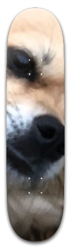 NALA! Skateboards, Longboards and Grip Tape Image