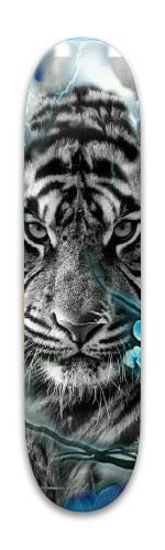 Design 526347 Skateboards, Longboards and Grip Tape Image