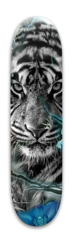 Design 526349 Skateboards, Longboards and Grip Tape Image