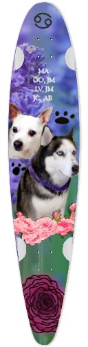 Design 527748 Skateboards, Longboards and Grip Tape
