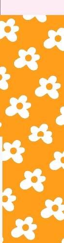 Design 527977