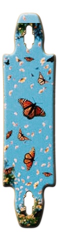 Design 528707 Skateboards, Longboards and Grip Tape